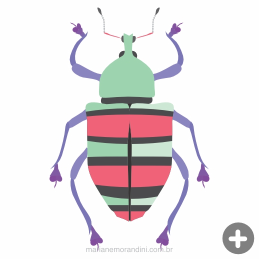 beetle.jpg